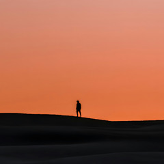 Tranquil Tide - Sacred Fjord