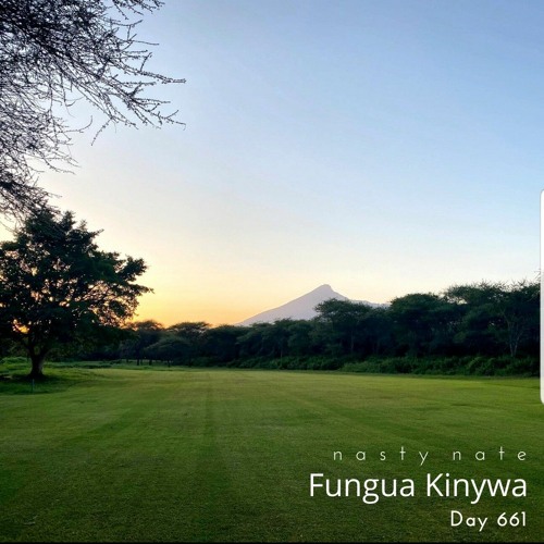 n a s t y  n a t e - Fungua Kinywa. Day 661 - AFRO + SOULFUL HOUSE