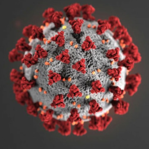 Mark Anthony Imaging - KRNR Coronavirus Update