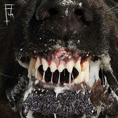 F O R E V E R L A N D