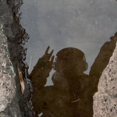 그겨울날이시리지않았던건