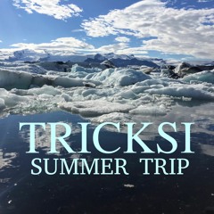 Summer Trip