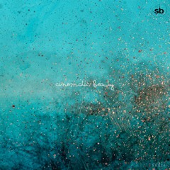 SB034 TK04 - Echos Of The Past - Mark Doggett - Sneaky Biscuit