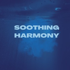 Still Waters Serenades