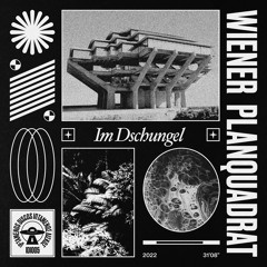 PREMIERE: Wiener Planquadrat - AIV (Tech Support Remix) [ Iptamenos Discos ]