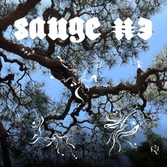 Sauge #3