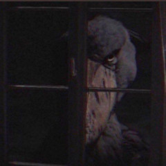 THE CREATURE (FREE DOWNLOAD)