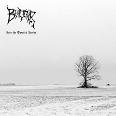 Bellwethr - A Plea To The Somber