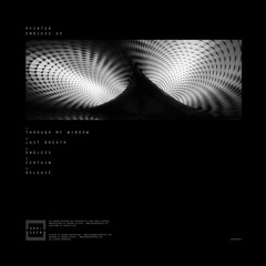 B1 - Pfirter - Endless