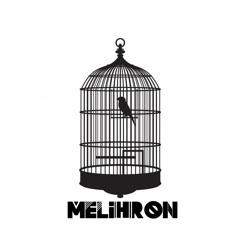The Aviary 013 - Melihron