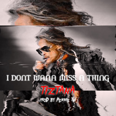 I Don't Wana Miss a Thing