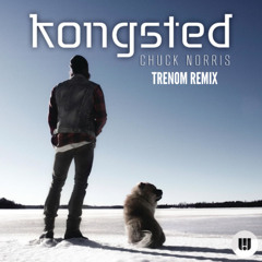 Kongsted - Chuck Norris (Trenom Remix/Mashup)