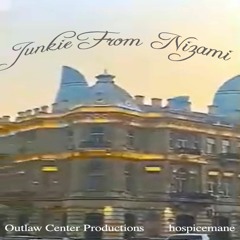 Junkie From Nizami - Maniac From Da Orange Mound