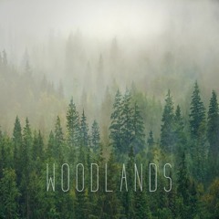 Woodlands [Pretend Penguin 10 Years & Counting Free Compilation]