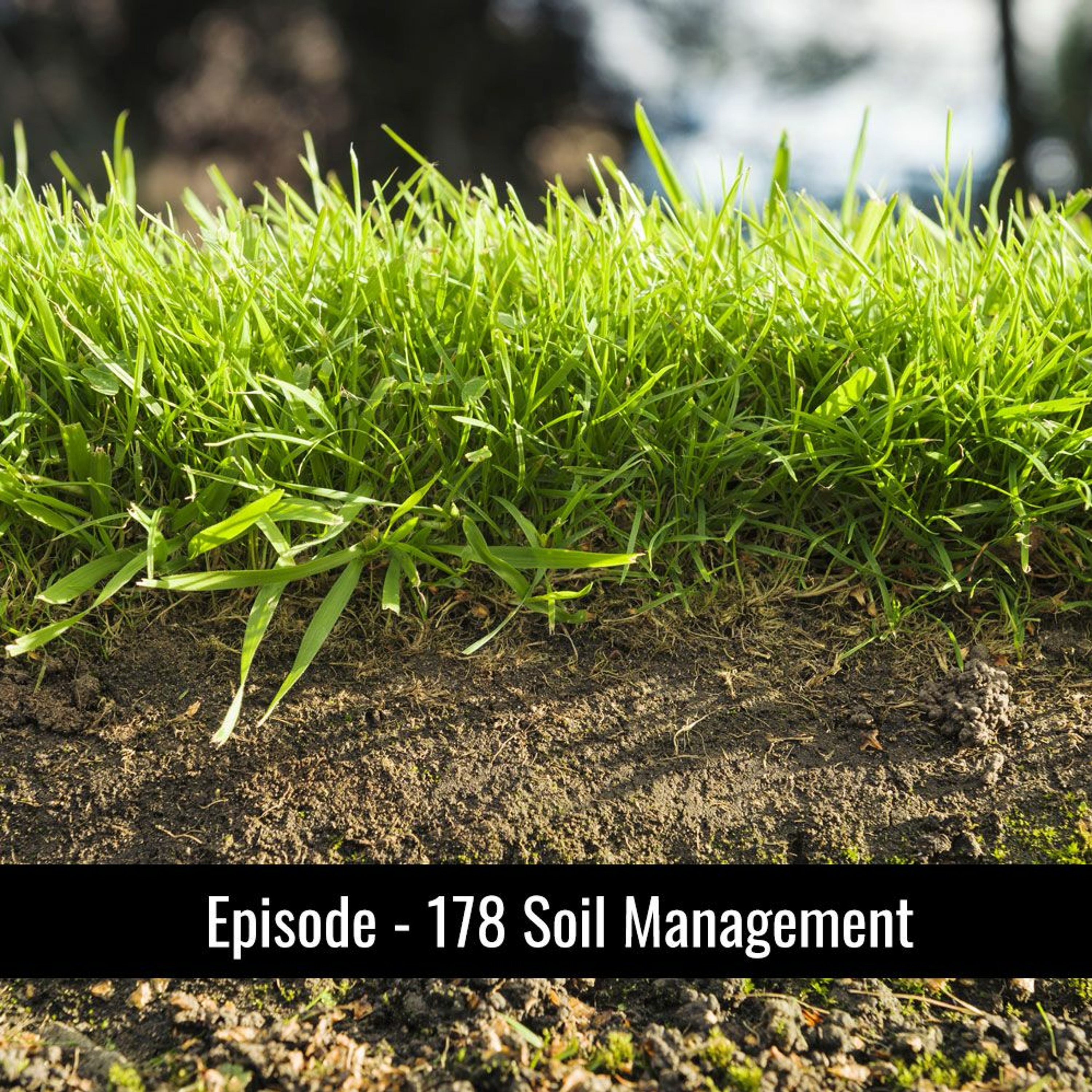 178 - Water and Soil Management with Dr. Guggenheim