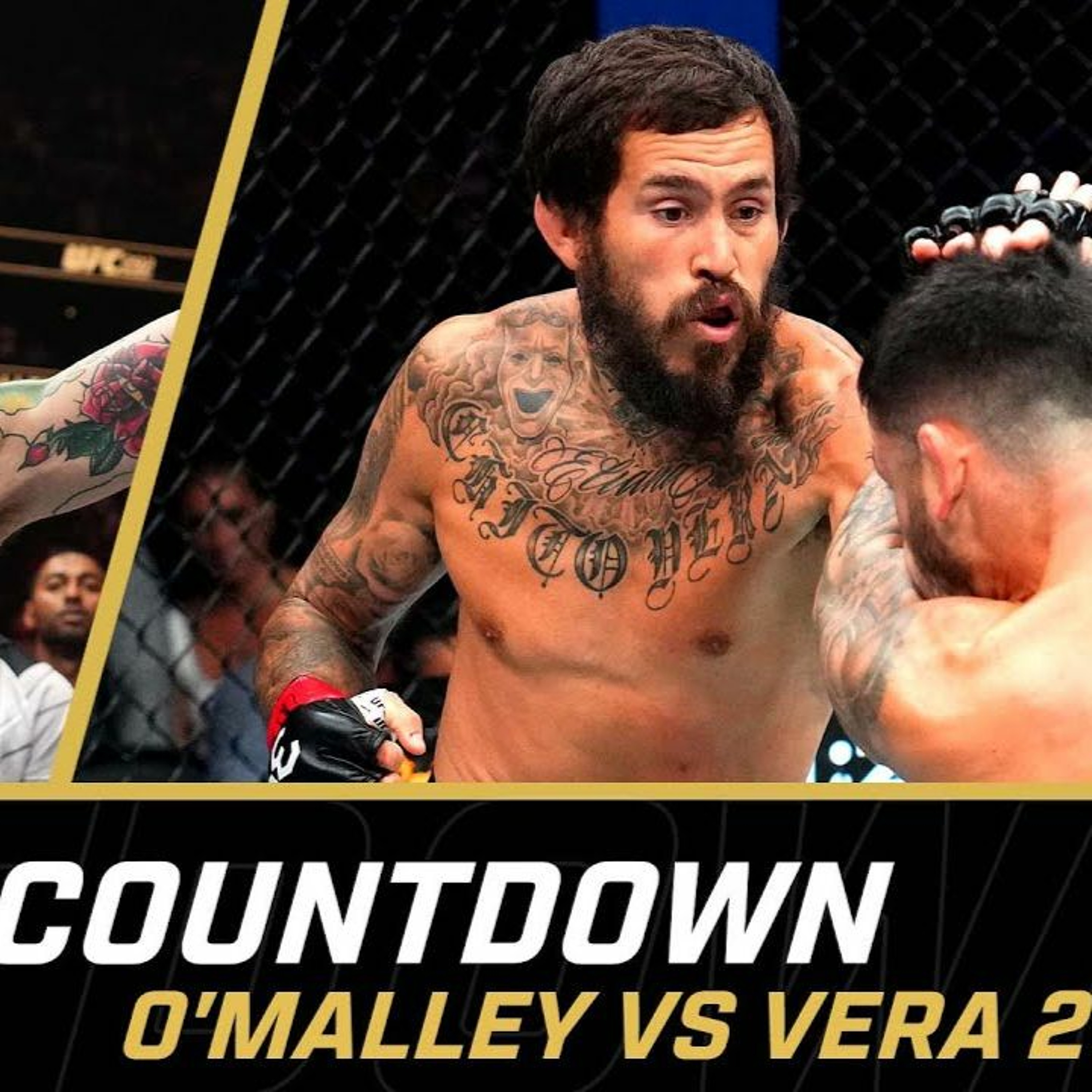 O'Malley vs Vera 2 | Main Event Feature (AMP'd) episode artwork