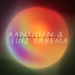 A Darker Wave supports Aantigen & Luíz Sabema - Beaming Birds (EP)