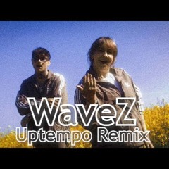 Bottle of Wine - WaveZ (Remix)