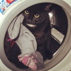 rnb song with my homie