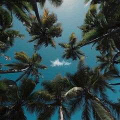 nostalgic daydreams 🌴