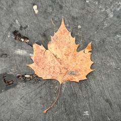 Virginia Waters @ Kiosk Radio 14.11.2025