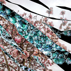 25.04.11 - Spring Thaw
