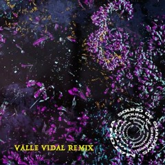 Sound Of Shadows (Valle Vidal Remix)