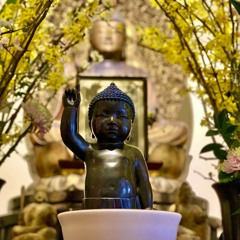 Zen Buddhism by the Numbers, No. 5 – Teisho by Hokuto Osho, DBZ Holy Days Sesshin Day5, 2023.4.13