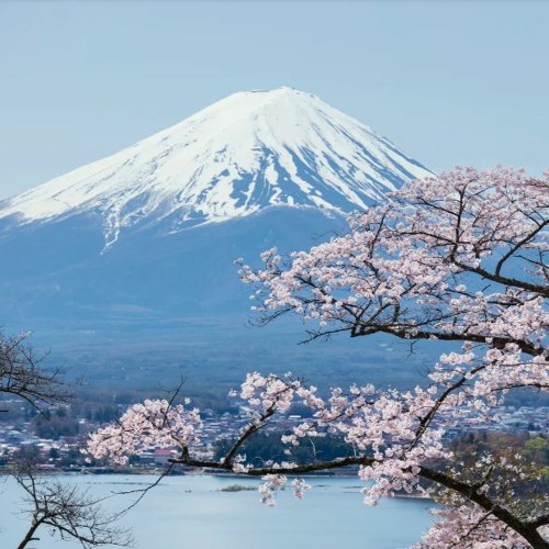 AHMAD HAWILI ZIAD SAHAB