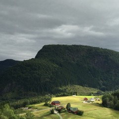 Ikkje nøl