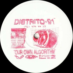 Various - Our Own Algorithm Vol.2 (D91007)