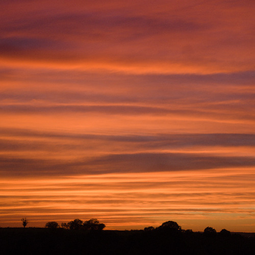 CRAZY EDM & Rap mixtape by DadVibez