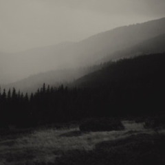 Rebellion