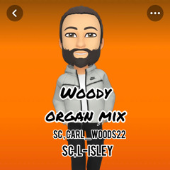 Woody Organ Mix (mixed by lisley)