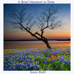 A Brief Moment in Time | Karen Biehl