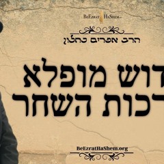 חידוש מופלא בברכות השחר