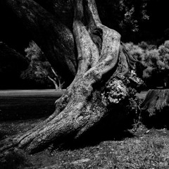 Session2 - Improvisation mit Matthias Brüssel