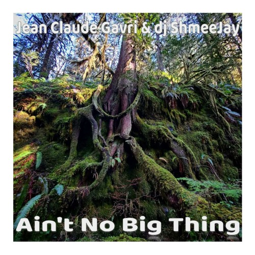 Jean Claude Gavri & dj ShmeeJay - Ain't No Big Thing