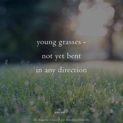 Not yet bent (naviarhaiku608)