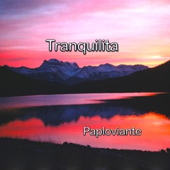 Tranquilita Open Collab Offer
