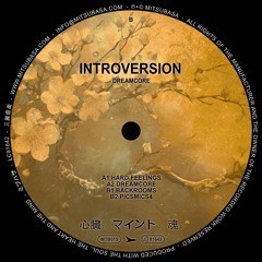 PREMIERE: Introversion - Backrooms [MTB015]