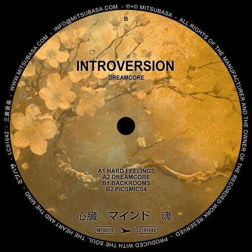 PREMIERE: Introversion - Backrooms [MTB015]