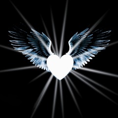 UNDER THE SHADOW OF MY WINGS