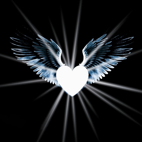 UNDER THE SHADOW OF MY WINGS