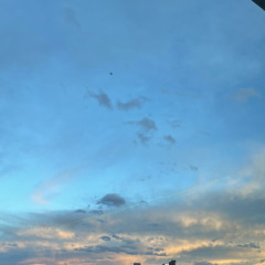 sunlight creeping through my blinds