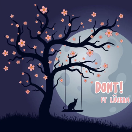 DONT! (Ft. LüvKam)