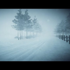 Áchim György - snowstorm