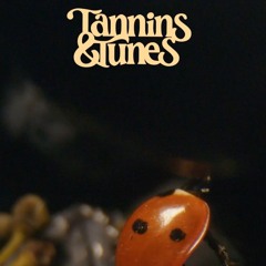 N0bleR0t / Listening Set for T&T Vol. 1