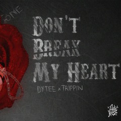 d o n t b r e a k m y h e a r t 💔 ft dytee