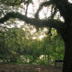 In The Dark (isntrumental)